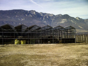 Termeno (Bz), Realizzazione di serra fotovoltaica 600kWp